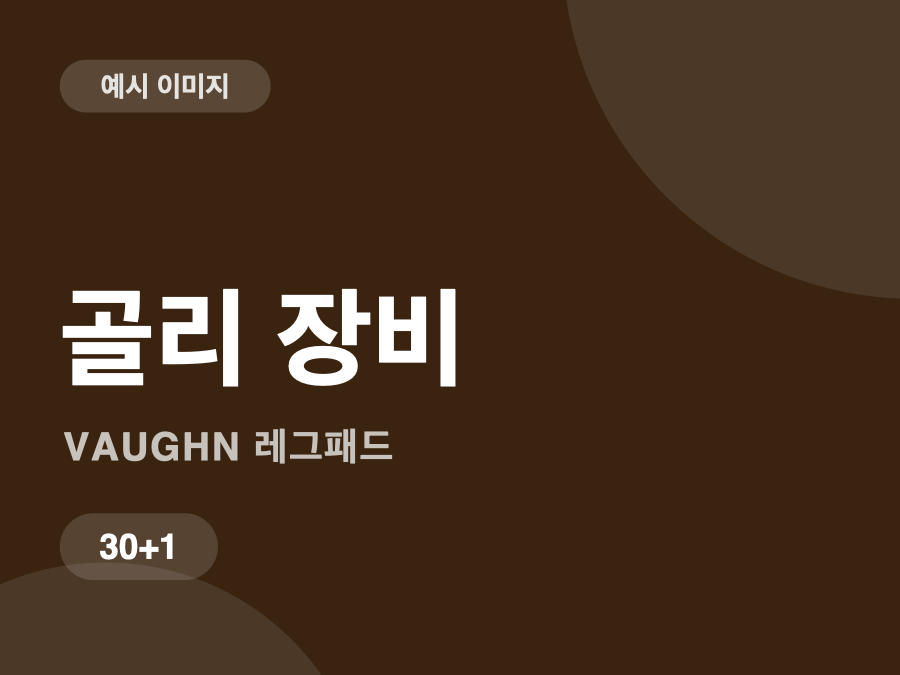베가 골리 레그패드 30+1